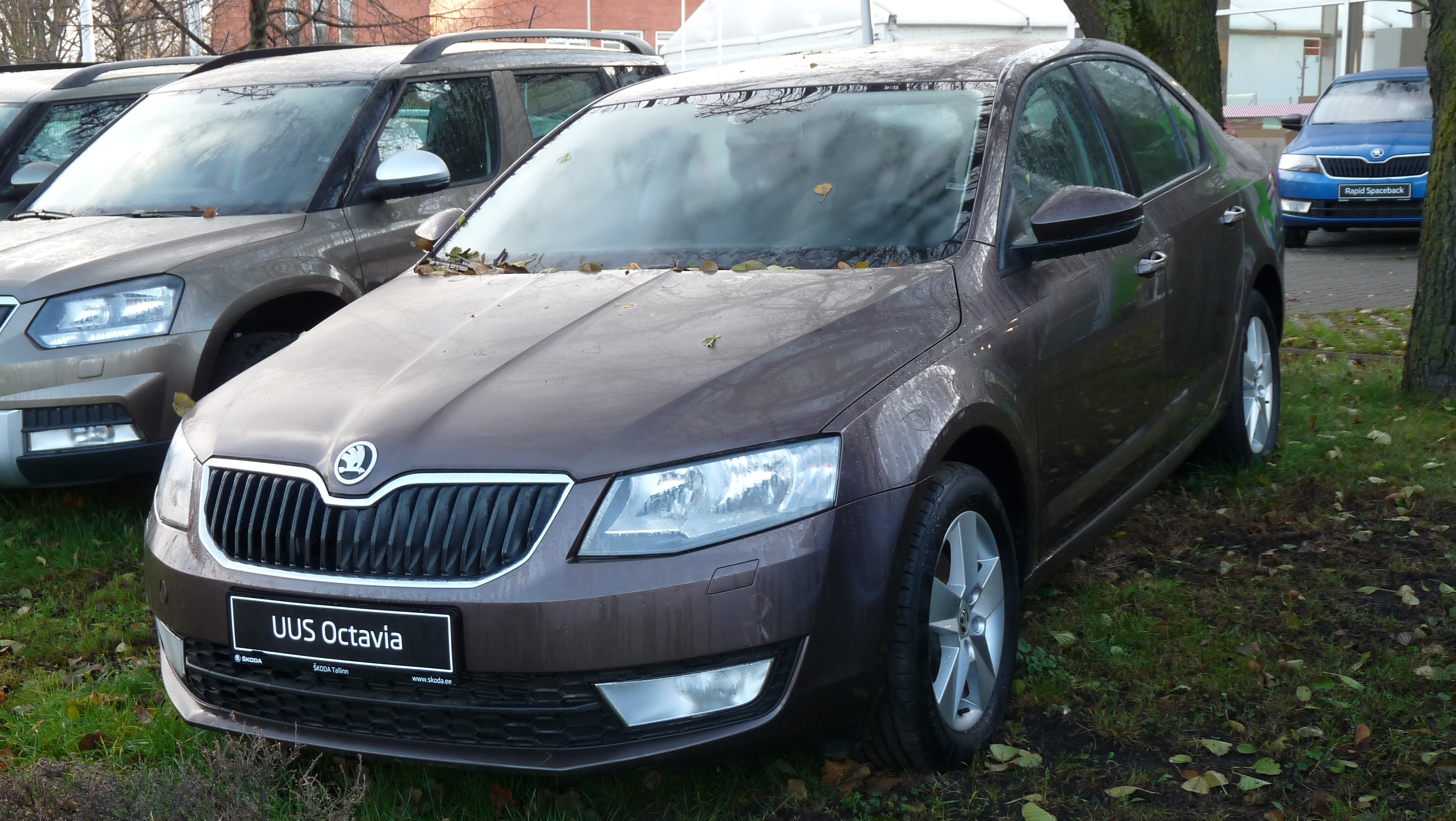 Inspekcja Škoda Octavia – raport CarAudit